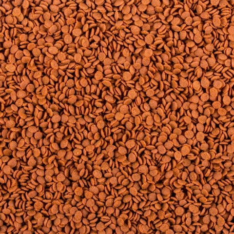 Tropical Soft Line Africa Carnivore M 100 ml/52 g – pokarm w chipsach