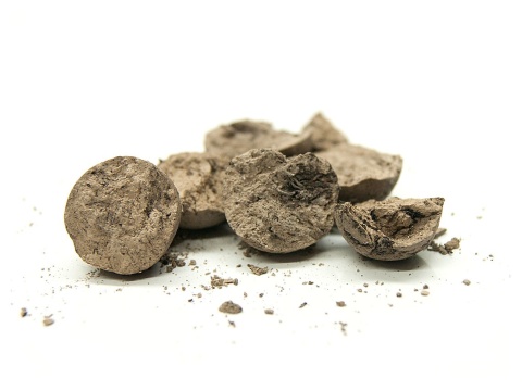 Aqua Hobby Clay Balls 100 g – kulki gliniano-torfowe do akwarium roślinnego