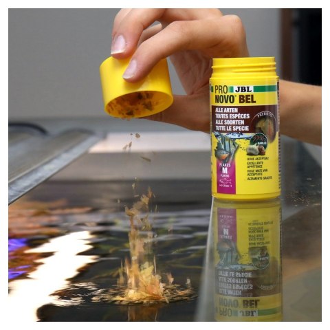 JBL PRONOVO BETTA FLAKES S 100ML pokarm dla rybek akwariowych (31305)
