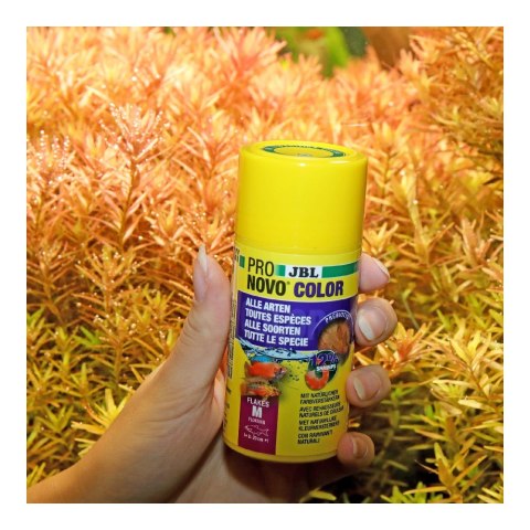 JBL PRONOVO COLOR FLAKES M 250ML (31139)