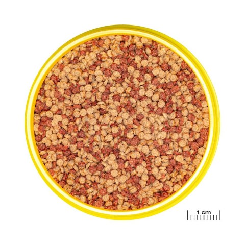 JBL PRONOVO COLOR GRANO M 250ML CLICK pokarm dla rybek akwariowych (31143)