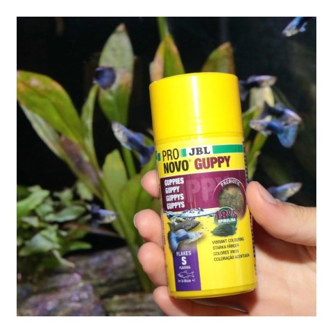 JBL PRONOVO GUPPY FLAKES S 100ML (31158)
