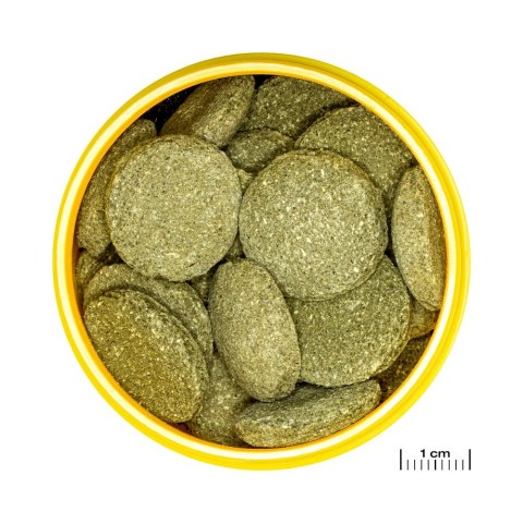 JBL PRONOVO PLECO WAFER XL 1000ML pokarm dla rybek akwariowych (31339)