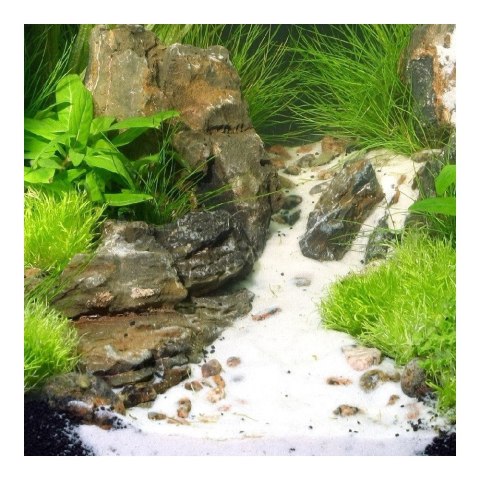 JBL Podłoże SANSIBAR BIAŁE 5KG (67055)