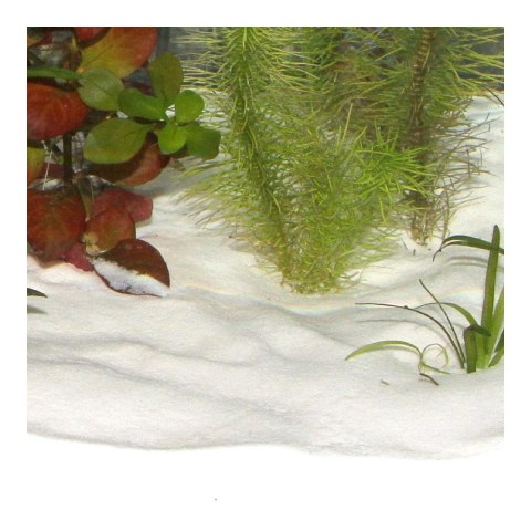 JBL Podłoże SANSIBAR SNOW 10KG (67061)