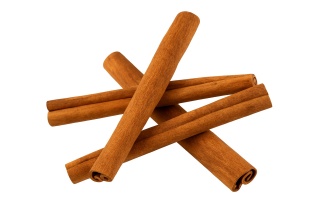 Kora cynamonu do akwarium 7-10 cm, 5 szt., naturalne kryjówki i garbniki