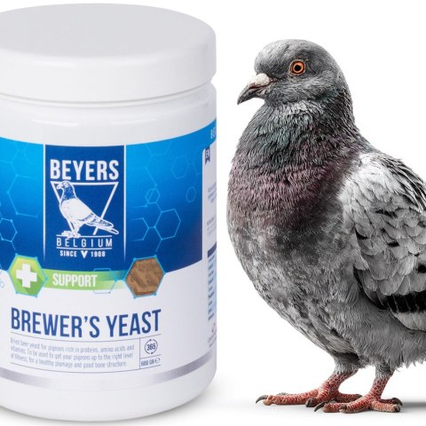 Beyers Brewer's Yeast 600g - drożdże piwne