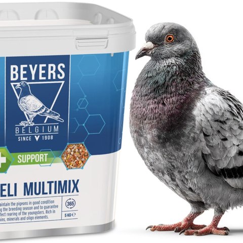 Beyers Deli Multimix 5kg - mieszanka minerałów dla młodych gołębi