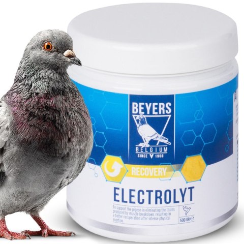 Beyers Electrolyt 500g - elektrolity dla gołębi sportowych