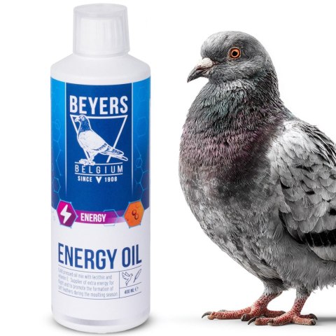 Beyers Energy Oil 400ml - mieszanka olei i lecytyny + wit. E