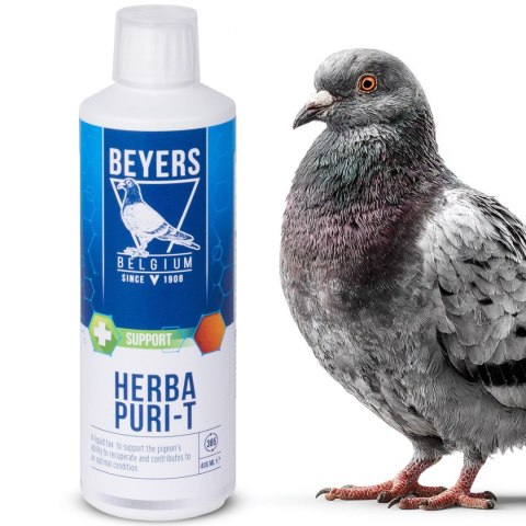 Beyers Herba Puri-T 400ml - regeneracja po chorobach i lotach