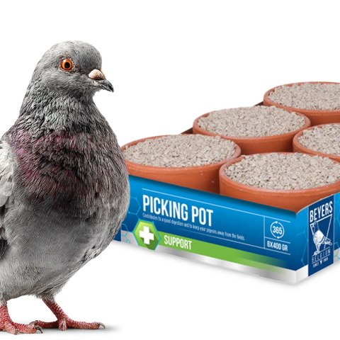 Beyers Picking Pot 5+1 - wsparcie trawienia i zdrowia