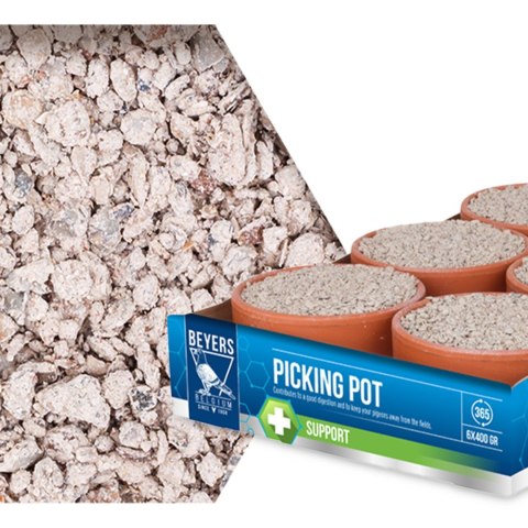 Beyers Picking Pot 5+1 - wsparcie trawienia i zdrowia