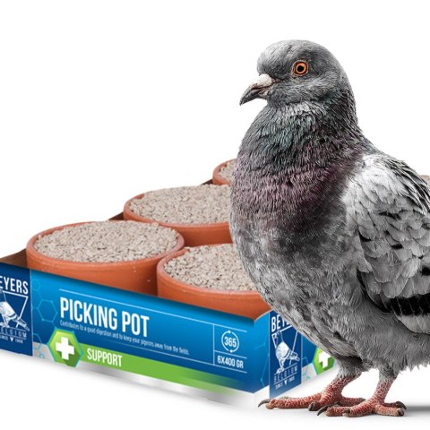 Beyers Picking Pot 5+1 - wsparcie trawienia i zdrowia