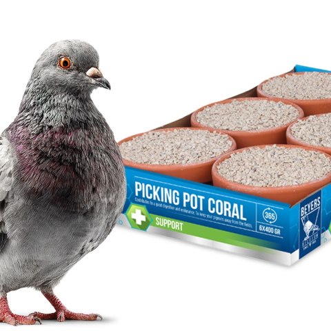 Beyers Picking Pot Coral 5+1 - kostki mineralne dla gołębi