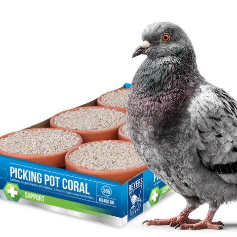Beyers Picking Pot Coral 5+1 - kostki mineralne dla gołębi