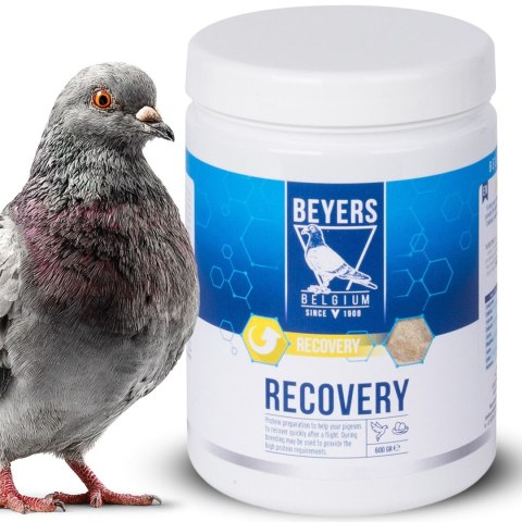 Beyers Recovery 600g - preparat regeneracyjny