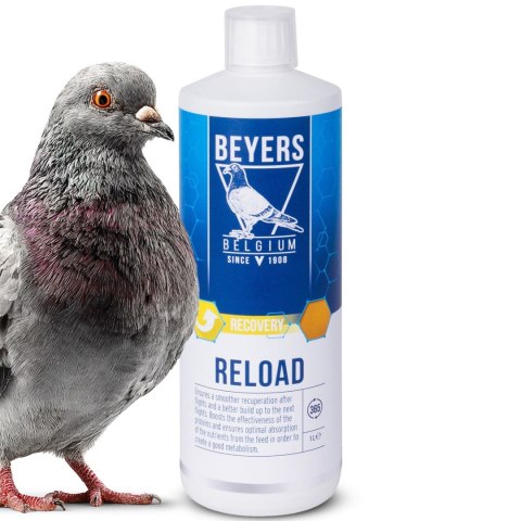 Beyers Reload 1000ml - koncentrat regeneracyjny
