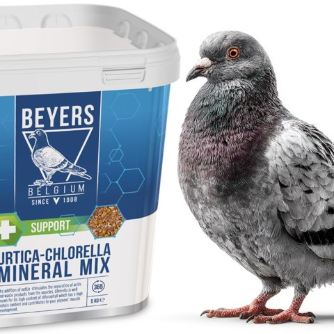 Beyers Urtica-Chlorella Mix 5kg - mieszanka grit, pokrzywa, muszle morskie, algi, nasiona oleiste i białko