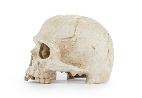 Happet Czaszka 15 cm R177 – ozdoba do akwarium i terrarium, kryjówka