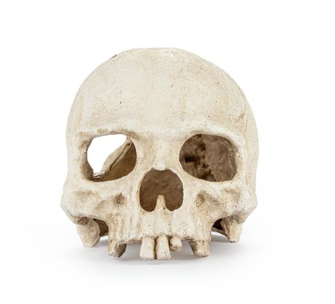 Happet Czaszka 15 cm R177 – ozdoba do akwarium i terrarium, kryjówka