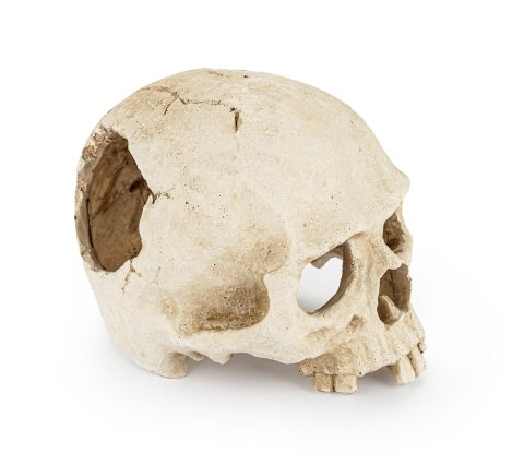 Happet Czaszka 15 cm R177 – ozdoba do akwarium i terrarium, kryjówka