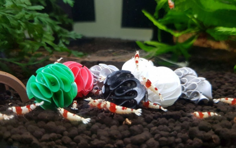 BABY BEE SHRIMP SHELTER schronienie CZARNY - 1 szt BABY BEE SHRIMP SHELTER schronienie CZARNY - 1 szt