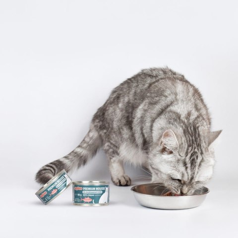 Comfy Appetit Premium Mousse Sterilized 150g - Karma dla kotów po sterylizacji o smaku tuńczyka