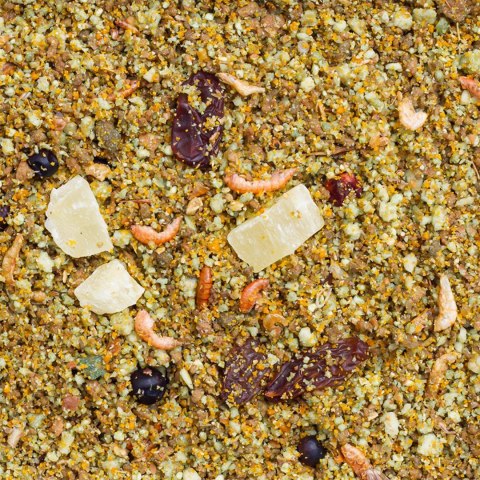 Deli Nature Birdelicious Friut Pate 750g - pokarm i witaminy dla ptaków ozdobnych