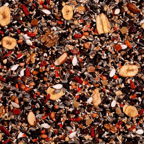 Deli Nature Birdelicious Serengeti 2kg - pokarm dla papugi Żako i Senegalka