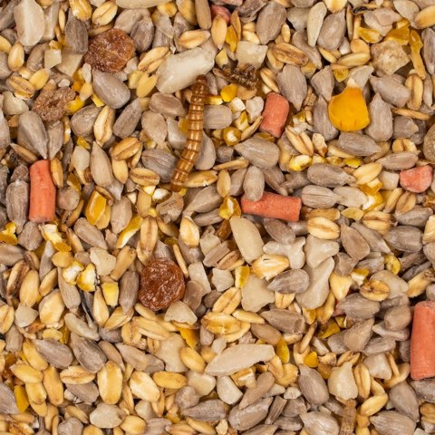 Deli Nature Booster Mix 850g - pokarm z witaminami dla ptaków zimujących