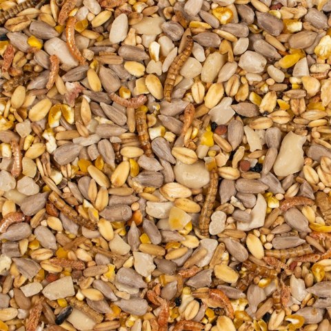 Deli Nature Protein Mix - pokarm na duży rozród dzikich ptaków