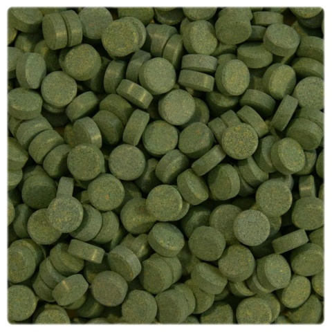 Glopex Algen Tablet 1kg tabletki przylepne Spirulina 40% karma dla ryb