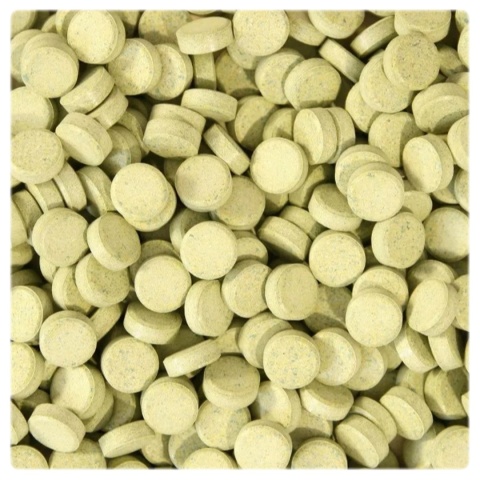 Glopex Vegetal Tablet 1kg – pokarm roślinny w tabletkach przylepnych