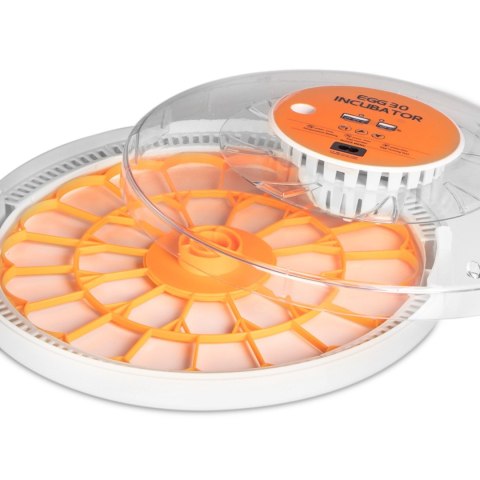 Kruger Meier ProOvula 30 - inkubator z termostatem i automatycznym obracaniem na 30 jaj