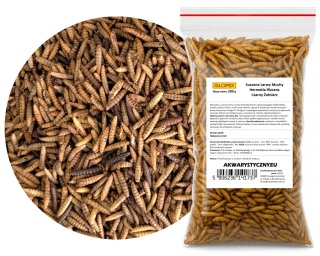 Larwy Hermetia illucens, 200 g – suszone larwy muchy czarnej żołnierki