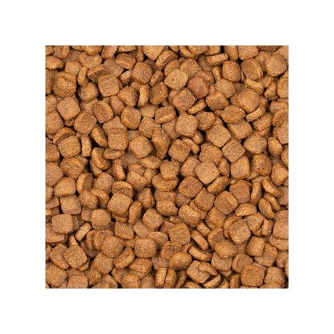 Voskes Adult Chicken - sucha karma dla dorosłych kotów z kurczakiem 2kg