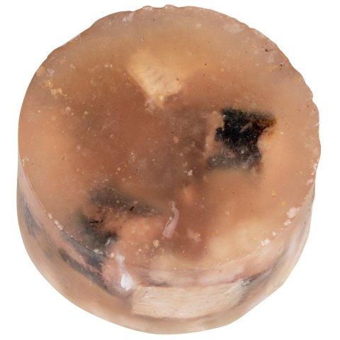 Voskes Jelly Wetfood Sardine - sardynki w galarecie mokra karma dla kota 85g