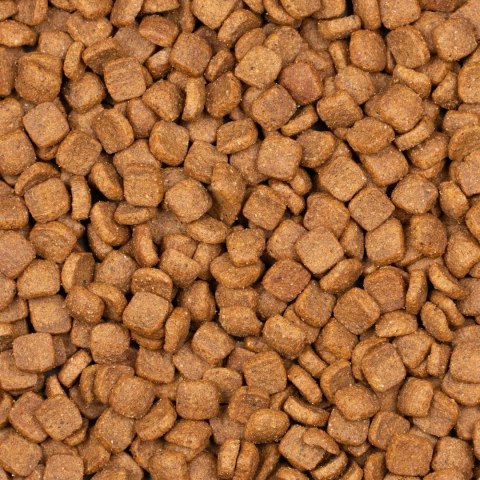 Voskes Kitten Chicken 7kg - karma dla kociąt