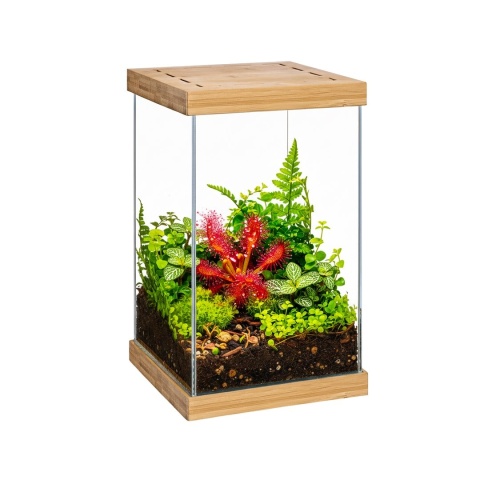 Aquael Selva Mini Terrarium – szklane terrarium z LED WRGB i bambusem