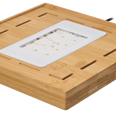 Aquael Selva Mini Terrarium – szklane terrarium z LED WRGB i bambusem