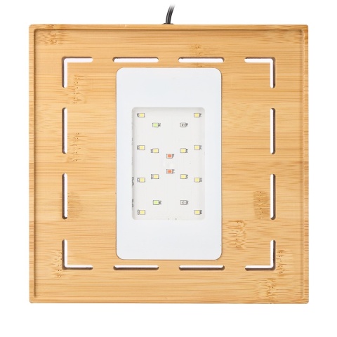 Aquael Selva Mini Terrarium – szklane terrarium z LED WRGB i bambusem