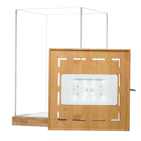 Aquael Selva Mini Terrarium – szklane terrarium z LED WRGB i bambusem