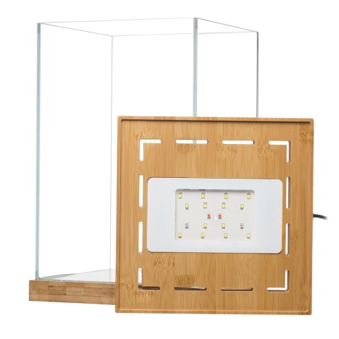 Aquael Selva Mini Terrarium – szklane terrarium z LED WRGB i bambusem