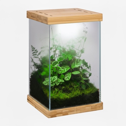 Aquael Selva Mini Terrarium – szklane terrarium z LED WRGB i bambusem