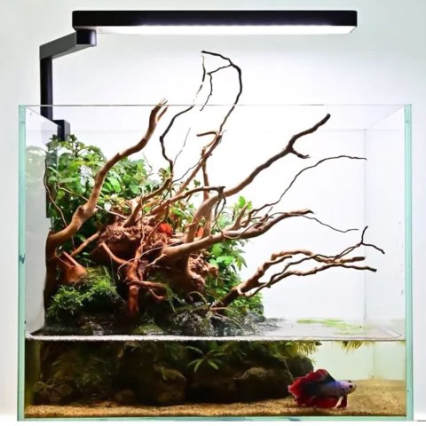 Chihiros CII - lampa LED sterowana aplikacją