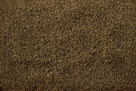 Glopex Algen Gran 0.5–0.8 mm, 100 g – pokarm granulowany ze spiruliną