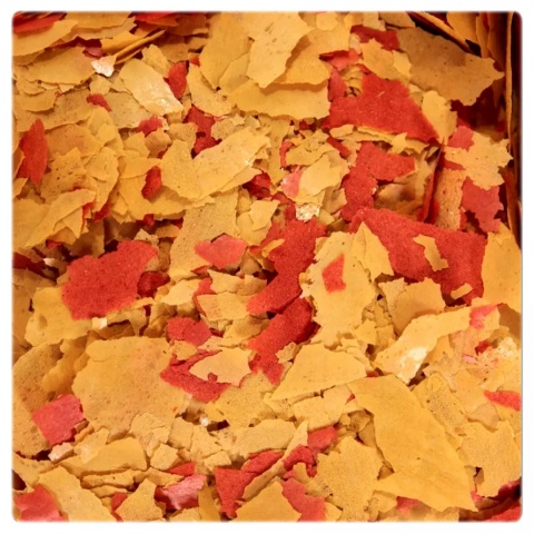 Glopex Eigelb-Mix 1000 ml, 150 g – wzrostowy pokarm płatkowany dla ryb