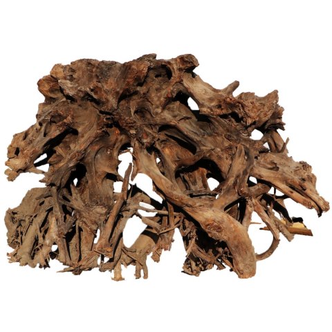 Malaysian Driftwood Giant XXXL - korzeń 150cm