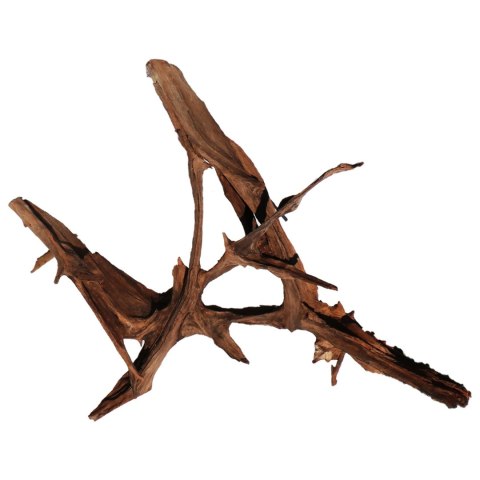 Malaysian Driftwood Giant XXXL - korzeń 150cm